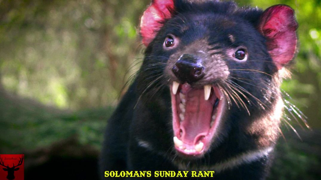 SoloMan's Sunday Rant