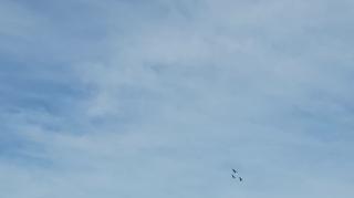 Time to go down South