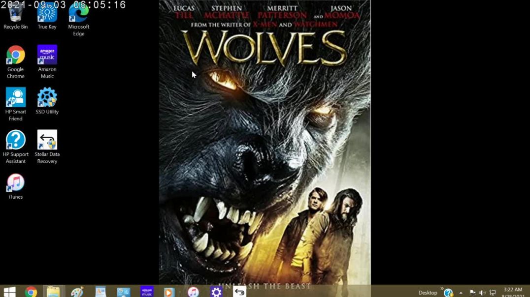 Wolves Review