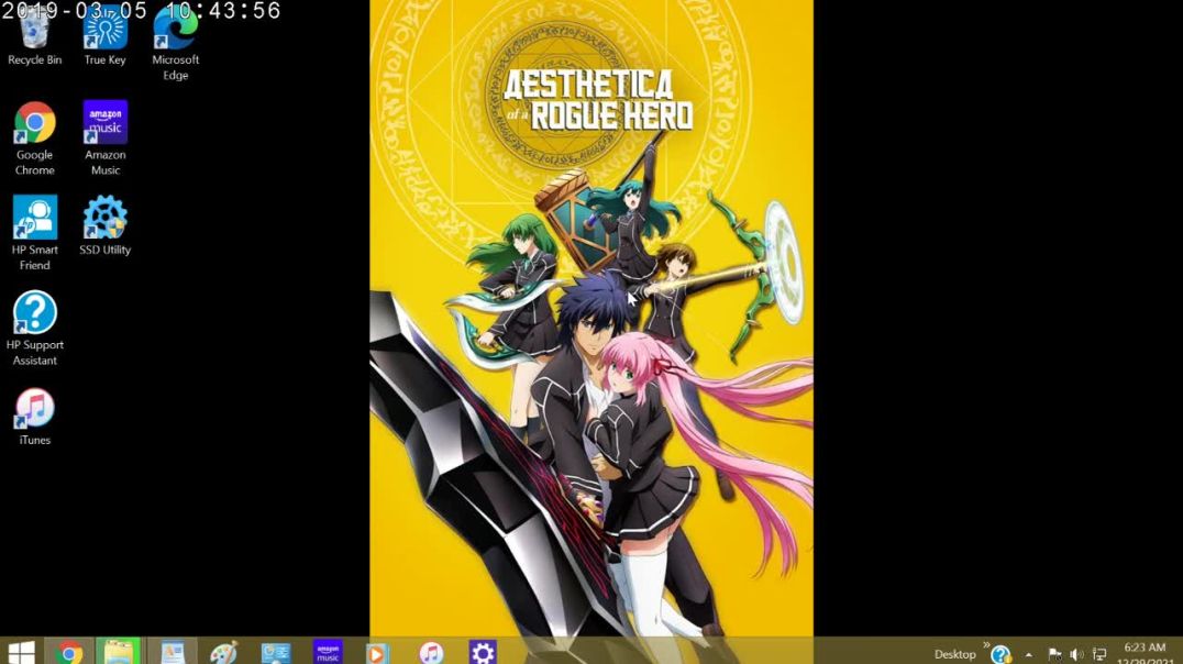 Aesthetica of a Rogue Hero Review