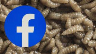 The fakebook life... Watching this will make you go stupid.