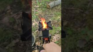 Pond water before and after boiling observed under a microscope ?