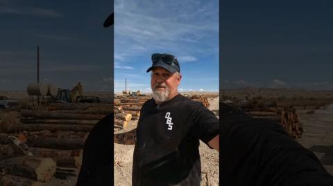 ((Cutting Firewood)) #firewood #woodstove #fire #wyoming #307 #shorts