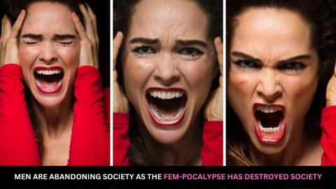 Men are Abandoning Society As The Fem-pocalypse Has Destroyed Western Society | MANOSPHERE