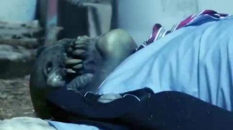 Yep... They got this one right