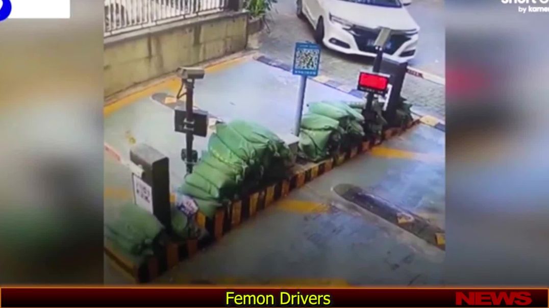 Femon Drivers