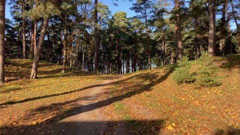 How Not To Get Wheat Waffled In 2024 & Beach Tour Of Jurmula Latvia