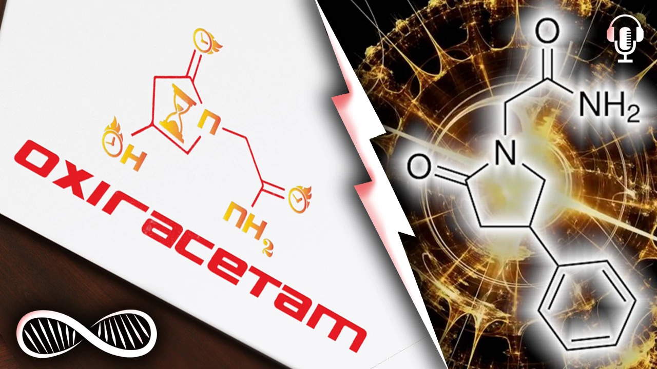 Oxiracetam vs Phenylpiracetam, Microdosing LSD, Thoughts on Dr. Jordan Peterson, Launching a Nootropics brand & More