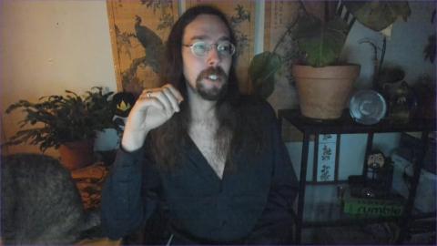 Georgia County Commissioner Felicia Franklin Passes Out in the Street Wasted