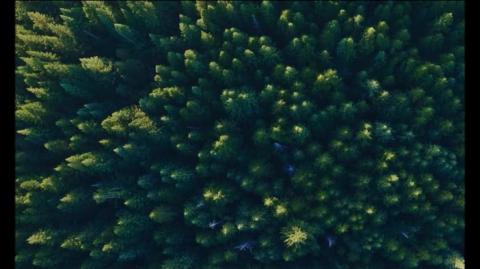 ESTO ES COLABORACIONISMO - Neo Y Perico Gay