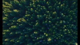 ESTO ES COLABORACIONISMO - Neo Y Perico Gay