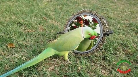 Here is my response video to Manosphere Highlights Daily.