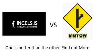 MGTOW What Incels need to realize