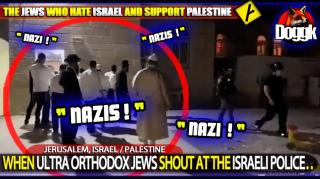 WHEN ULTRA ORTHODOX JEWS SHOUT AT THE POLICE.. (JERUSALEM, ISRAEL / PALESTINE)