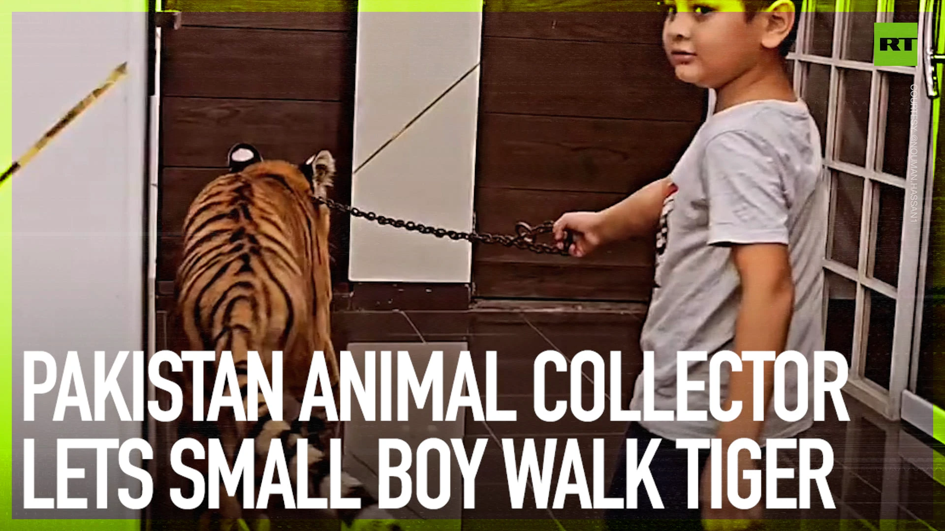 Pakistan animal collector lets small boy walk tiger