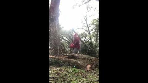 Timbeeeer! - Darwin awards