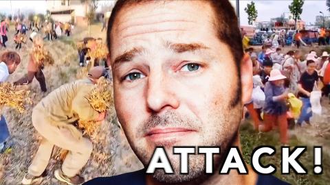 China's Unstoppable Corn Raiders - Crop Stealing Army!