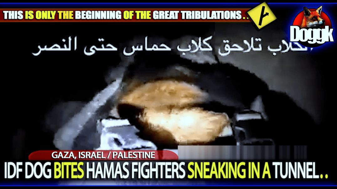 IDF DOG BITES HAMAS FIGHTERS SNEAKING IN A TUNNEL.. (GAZA, ISRAEL / PALESTINE)