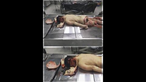 sharks - Darwin awards