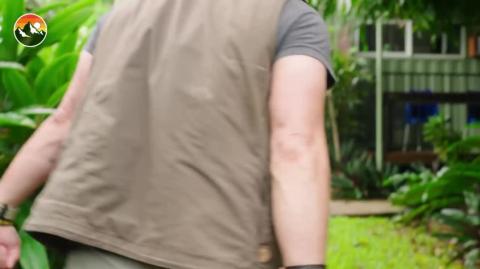 STUNG by the Gympie Gympie- -Worlds Most Painful Plant Sting-