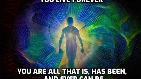 What is Death, The Afterlife & Consciousness? - David Icke in 2015