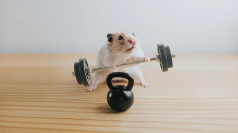 Frankie Left us Too Soon: Rest in Peace Frank