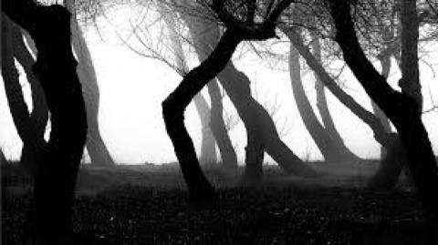 Estamos nas trevas porque estamos sós?