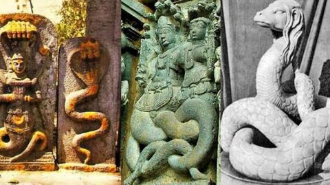 SEED WARS 17: THE NAGAS SERPENT RACE