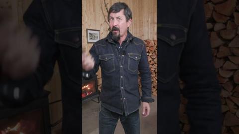 Using Taser Sound to Deter Aggressive Dogs: Myth or Reality?