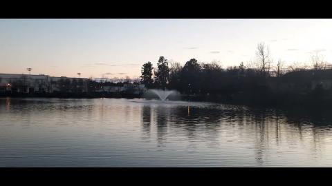 Year Of The Chameleon Part 21 - Mgtow