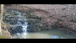 Why We Left Part 61 - Mgtow