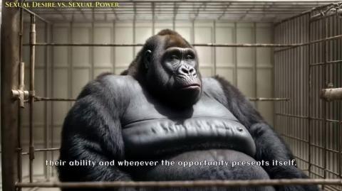 Semen Retention_ The Price of Reproduction (1976)