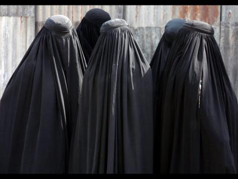 MGTOW 2.0 - The Transmeleon