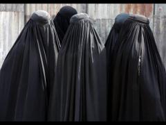 MGTOW 2.0 - The Transmeleon