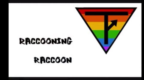 Mestre Raccooning Raccoon Aos conservadores, tradicionalistas, realistas, mulheres e feministas