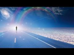 Meaning of Life: Become Who You Are - MGTOW