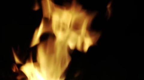Forging the World How Fire Shapes Human Progress FD Engineering