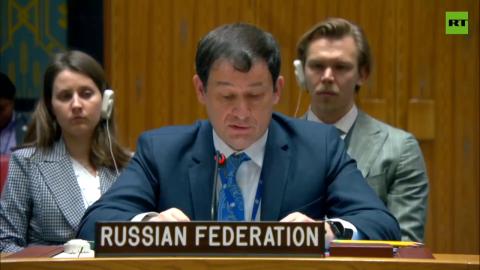 Ukrainian statements are ‘paranoid nonsense’– Dmitry Polyansky