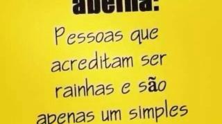 A SÍNDROME DA ABELHA-RAINHA!