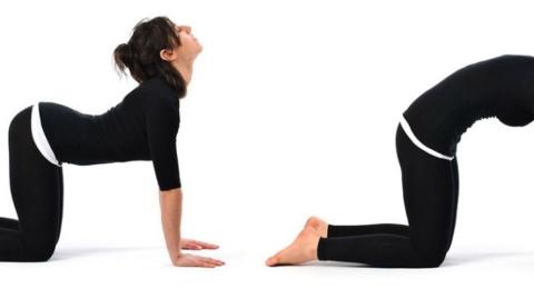 Do que elas gostam | De quatro favorece a gravidez e a pensão alimentícia!