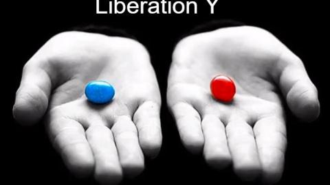 Have Red Pill Males lost their Humanity-MGTOW