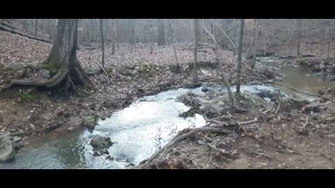 Self Inflicted Part 29 - Mgtow