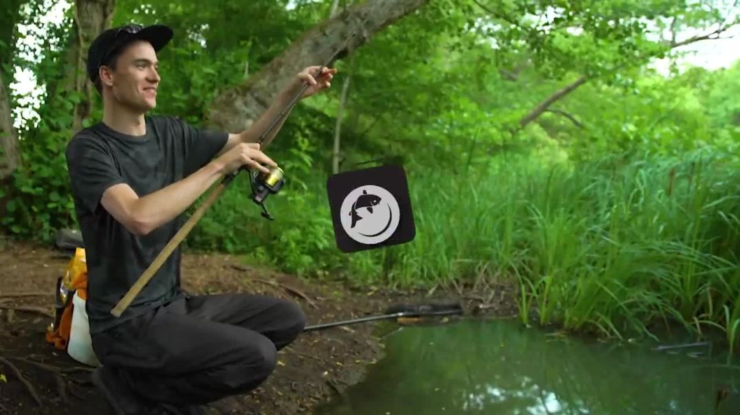 How To Catch Carp - Surface Fishing with Bread and Dog Biscuits ...