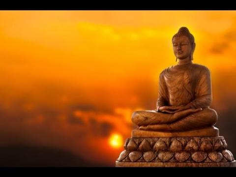 Curing Tom's Oneitis - MGTOW