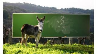 Só escola PRA BURROS proíbe o uso de celular, ao invés de integrá-lo!