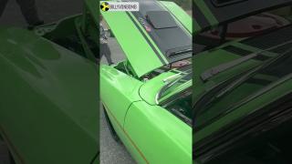 Monday Motor Madness # 67 - Roadrunner MEEP MEEP!