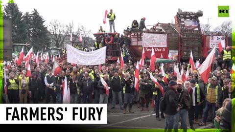 Protesting Polish farmers vandalize European Parliament office and 'Solidarity with Ukraine' sign