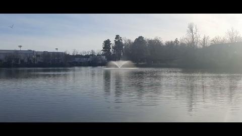 Year Of The Chameleon Part 22 - Mgtow