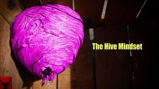 The Hive Mindset