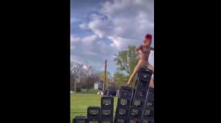 TikTok - the Darwin awards